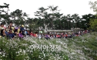 정읍 구절초축제, ‘2013 전국 가볼만한 축제 20선’ 4년 연속 선정 영예