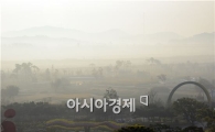 [포토]함평국화축제장의 아름다운 운해