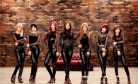 AOA, 新 한류 중심 '우뚝'… 해외 러브콜 쇄도