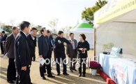[포토]함평국화축제장 점검하는 간부 공무원들