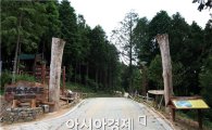 '목혼식 페스티벌’ 정남진 장흥 편백숲에서 개최