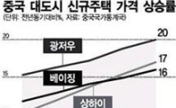 '살 집'보다 '죽을 집'이 더 비싸…中 묘지전쟁