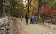 장애없는 탐방로…장애인·유아도 '단풍 맘껏 즐긴다'