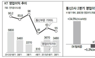 권은희 "KT 수익악화에도 고배당 기조로 '국부유출'" 