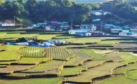"年 1만2000가구, 도시여 안녕"…귀농의 경제학