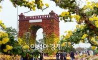 [포토]가을 국화향기 그윽한 함평