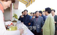 [포토]함평 국화차 시음하는 손학규 민주당 상임고문