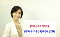 신한금융투자, 지속수익추구형 ETF랩 10차 판매