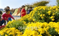 해남군민광장 국화 향 ‘가득’