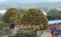[포토]꿈나무·희망나무 3500분 국화만개 