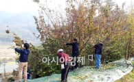 구례군, 농촌 일손돕기 대대적 추진