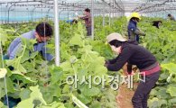 광주시공무원교육원 중견간부 교육생 농촌 사랑 봉사