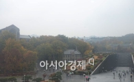 [포토]안개 낀 단풍교정 