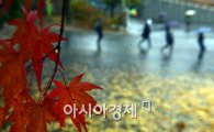 [포토]가을비 내리는 오후 