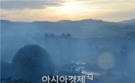 [포토]국화축제장의 운해