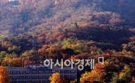 남산 높이, SNS서 새삼 화제 '남산타워 239.7m' 더할까 말까