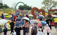 [포토]우중 국화인파