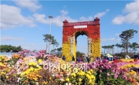 [포토]차가운 날씨속에 국화축제장 인산인해