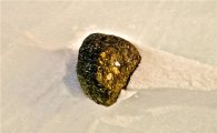 남극에서 발견한 돌맹이, 알고보니 '달 운석'