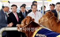 [포토]전남 한우경진대회 개최
