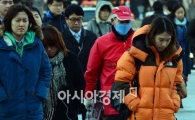 [포토]초겨울 날씨 속 서울 도심