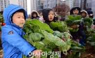 [포토]'내가 수확한 배추'