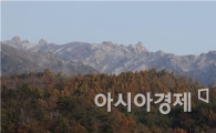[포토]가을과 겨울사이