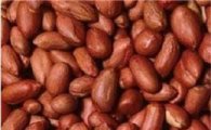 땅콩 칼로리 공개 "다이어트할 때 왜 땅콩 먹나 봤더니"