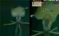 다리 길이 8m 오징어 공개 "마치 외계 생명체와 흡사해" 