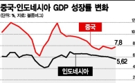 中風에 흔들리는 인도네시아 경제