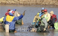 [포토]가래치기로 고기잡는 어민들