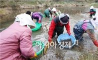 [포토]강진 옴천 토하 잡이 한장