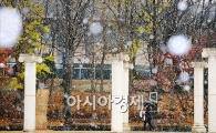 [포토]폭설 내리는 서울