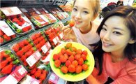 [포토]홈플러스, 전국 유명산지 겨울 딸기 판매 