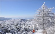 제3회 지리산 남원 바래봉 눈꽃축제 개최 