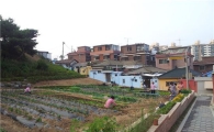 은평구 두꺼비하우징 산새마을 대한민국 경관대상 특별상 수상