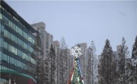 [포토]중랑구청사 앞 크리스마스트리 불 밝혀 