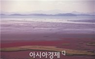 순천만, 환경부 지정 전국 12대 생태관광지역 선정 쾌거