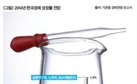 내년 韓 경제…산 넘어 산