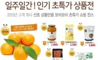 초록마을, 2013 결산 '히트상품전' 실시