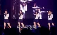 [포토]핫트래빗걸스, '男心 흔들'