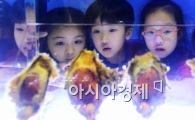[포토]국내 최초 오픈 실험실, 키즈사이언스 아쿠아리움 오픈