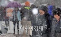[포토]'눈이 많이 내리네...'