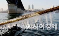 [포토]'고드름~고드름~'