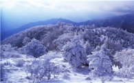 눈 내린 겨울산…그곳에 가고 싶다
