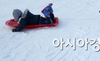 [포토]눈 위를 날다 