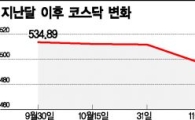 1월 기다리는 코스닥, "산타는 없다?"