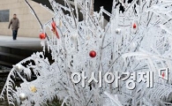 [포토]'추운 겨울 날씨 속 얼음 나무'