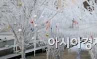 [포토]인공 얼음나무, 추워도 사진찍기