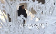 [포토]'얼음나무에 갇힌 시민들'